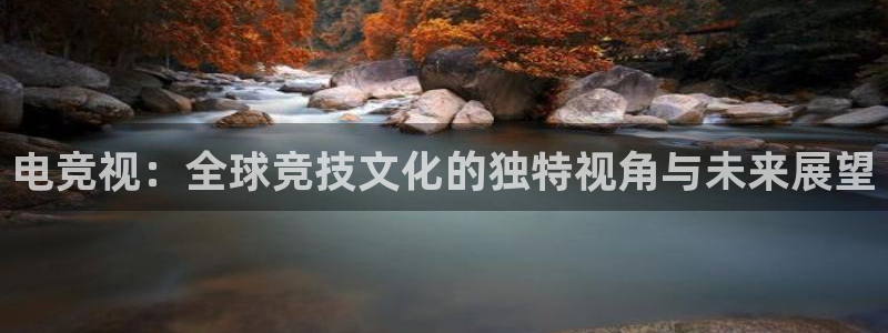 火狐电竞网页版：电竞视：全球竞技文化的独特视角与未来展望