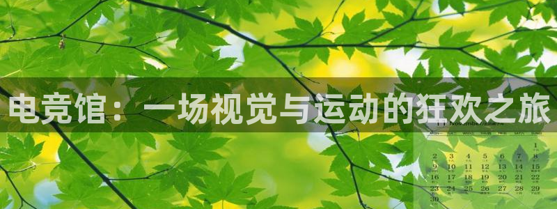 火狐电竞平台app下载：电竞馆：一场视觉与运动的狂欢之旅