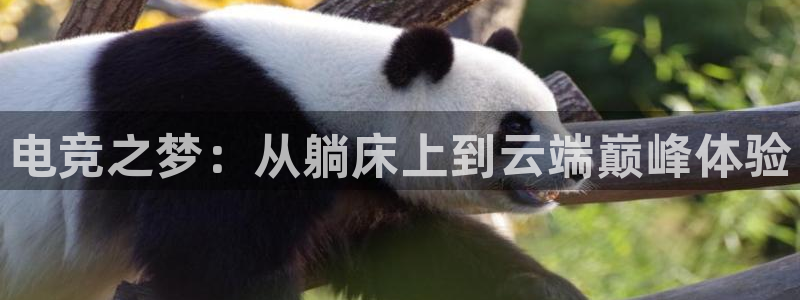 火狐电竞官方网站：电竞之梦：从躺床上到云端巅峰体验